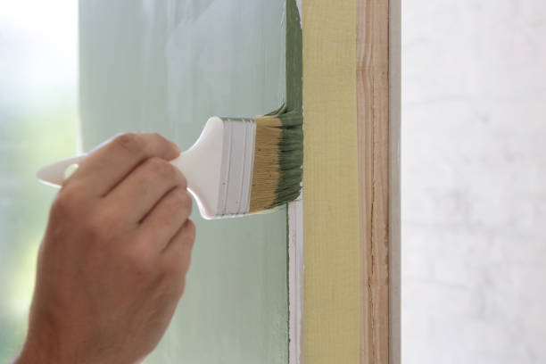 Best Black Mold Removal  in Montgomery, TX
